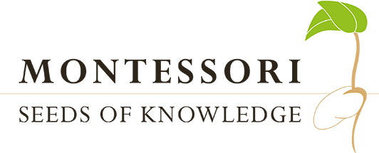 Montessori Seeds of Knowledge